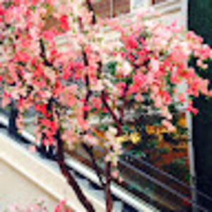 Meet your Posher, Gloria